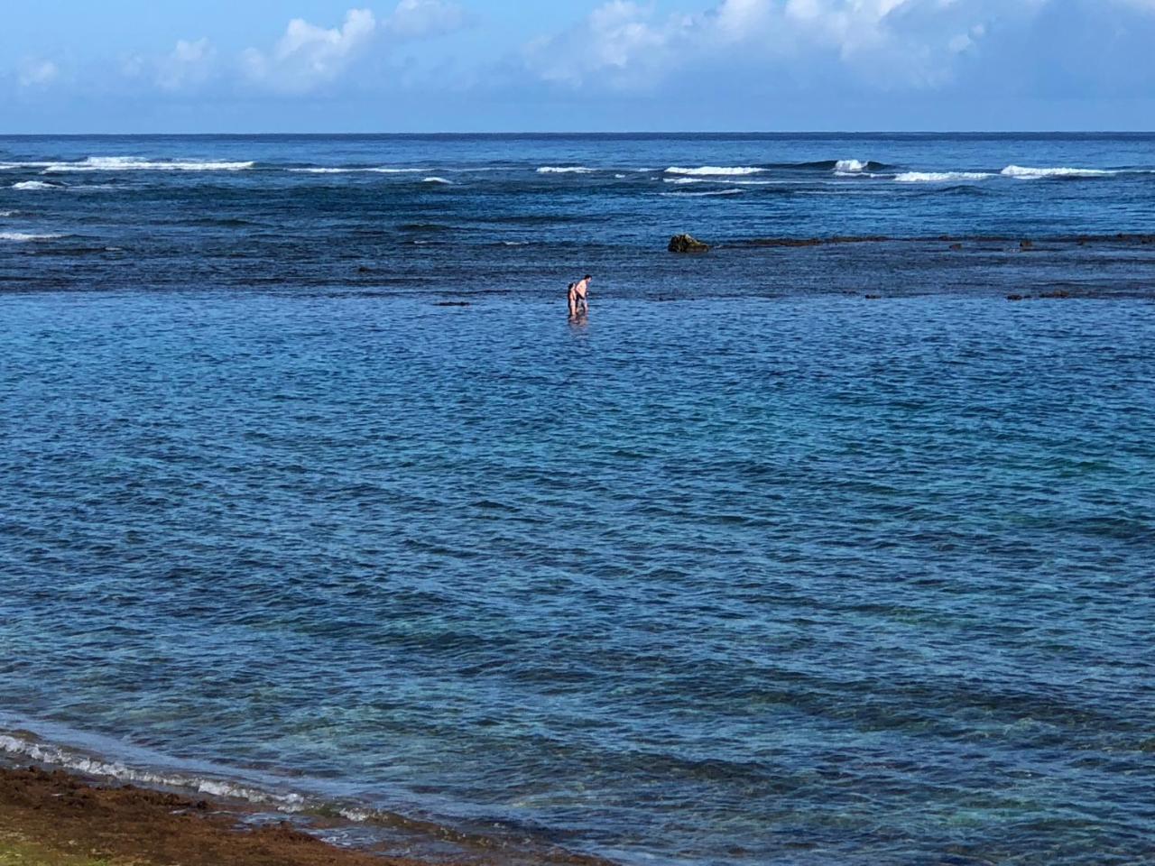 Mokule'Ia Beach Houses At Owen'S Retreat Waialua Kültér fotó